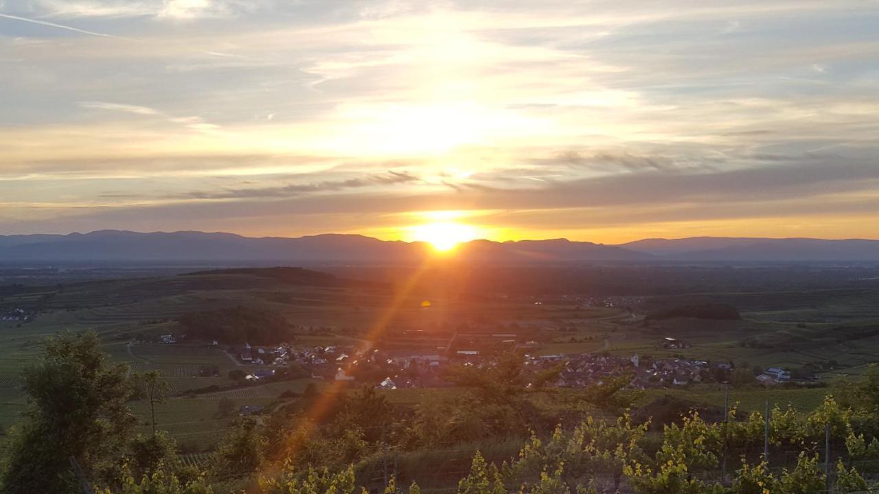 Gaestehaus Casa Luna - Paradiesische Ferienwohnungen Am Kaiserstuhl! Bischoffingen Exterior foto