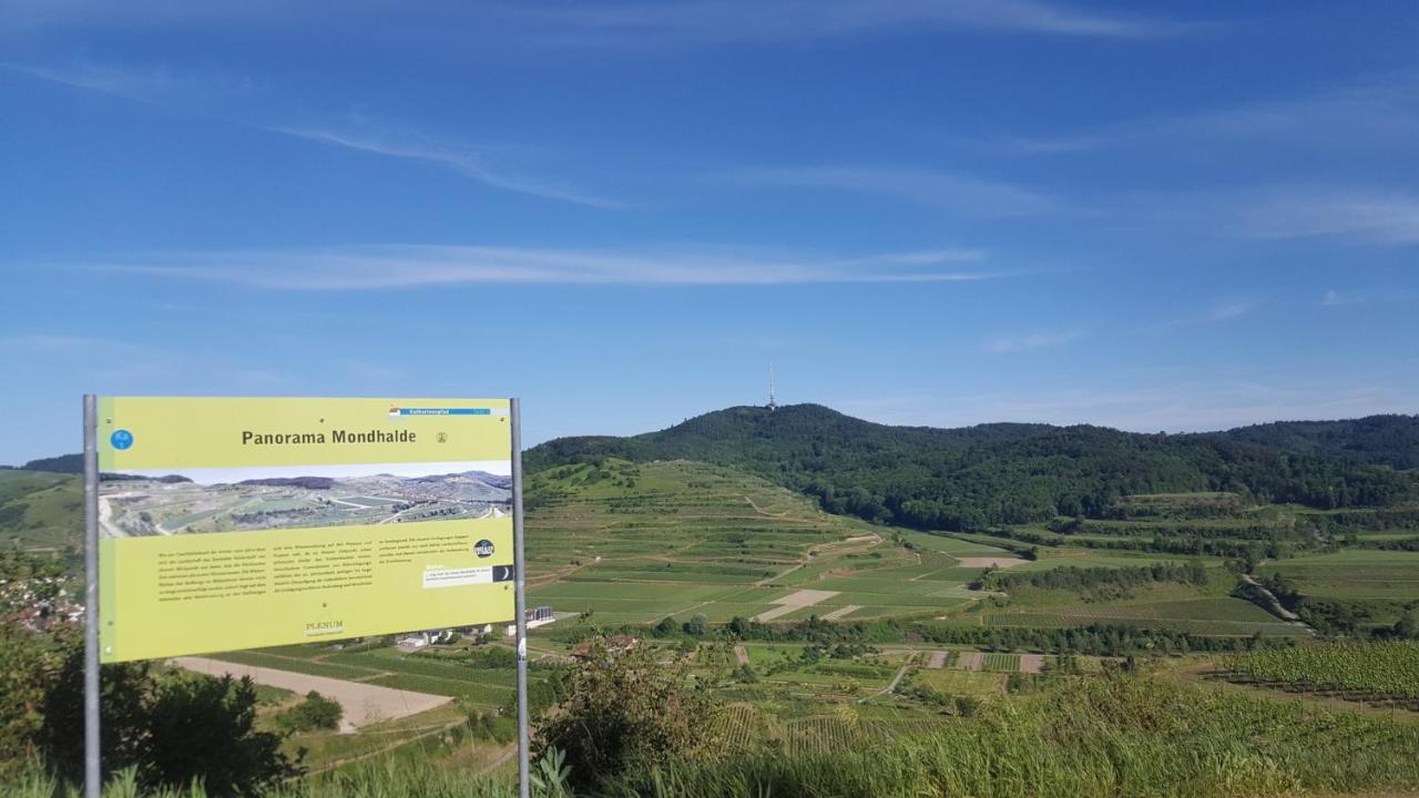 Gaestehaus Casa Luna - Paradiesische Ferienwohnungen Am Kaiserstuhl! Bischoffingen Exterior foto