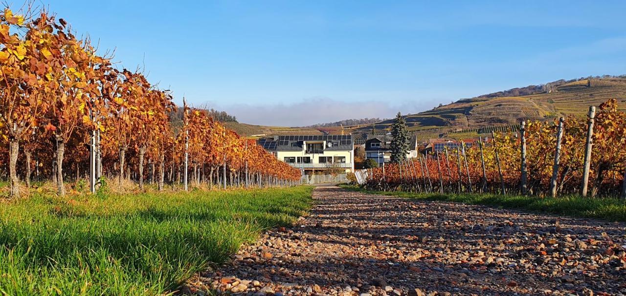 Gaestehaus Casa Luna - Paradiesische Ferienwohnungen Am Kaiserstuhl! Bischoffingen Exterior foto