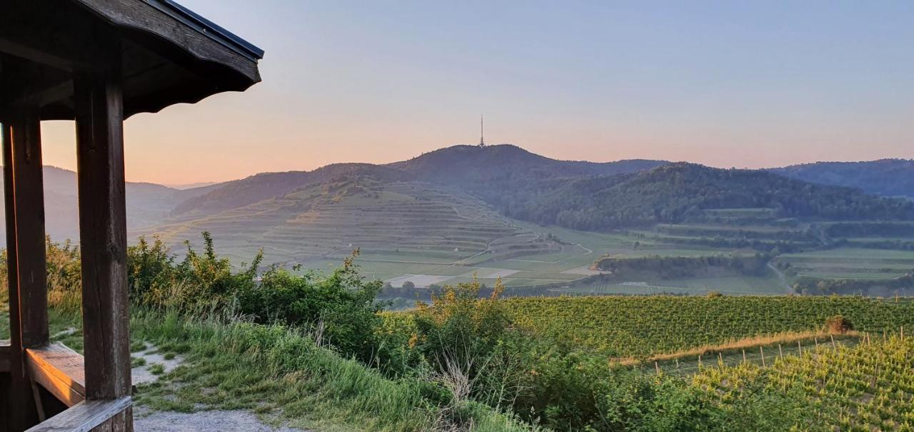 Gaestehaus Casa Luna - Paradiesische Ferienwohnungen Am Kaiserstuhl! Bischoffingen Exterior foto